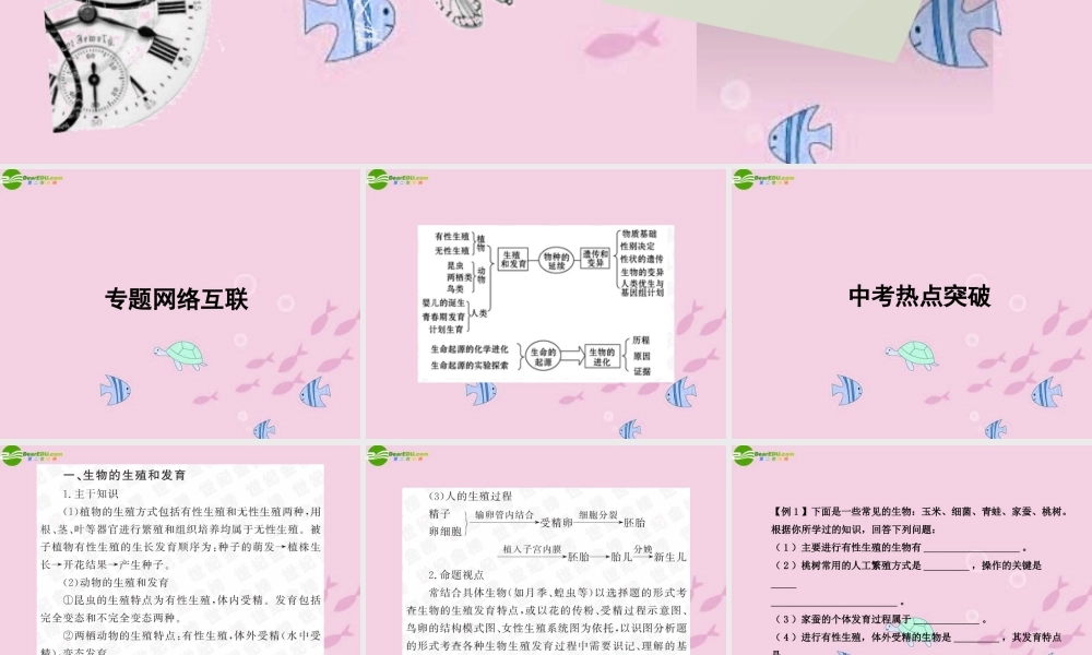 中考生物学业水平考试专题复习 专题五物种的延续生命的演化课件