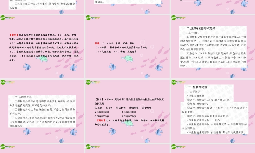 中考生物学业水平考试专题复习 专题五物种的延续生命的演化课件