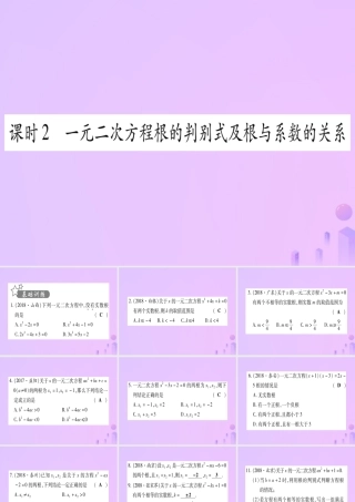 (云南专用)中考数学 第一轮 考点系统复习 第2章 方程(组)与不等式(组)第2节 一元二次方程及其应用 课时2作业课件