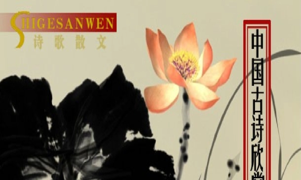 中考语文复习 中国古诗欣赏课件