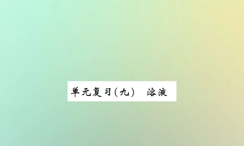 九年级化学下册 第九单元 溶液单元复习(九)习题课件 (新版)新人教版 课件
