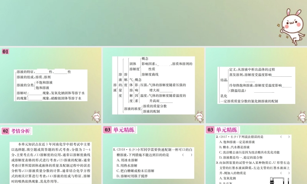 九年级化学下册 第九单元 溶液单元复习(九)习题课件 (新版)新人教版 课件