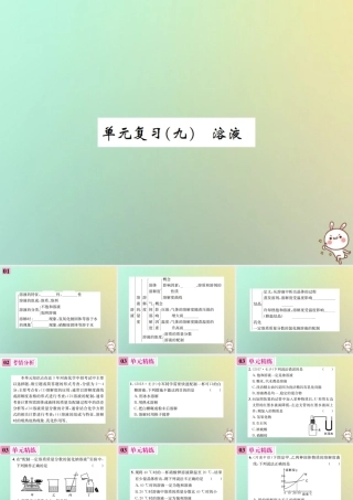 九年级化学下册 第九单元 溶液单元复习(九)习题课件 (新版)新人教版 课件