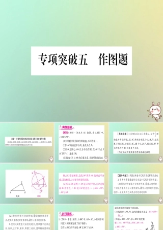 中考数学精选准点备考复习 第二轮 中档题突破 专项突破5 作图题课件 新人教版 课件