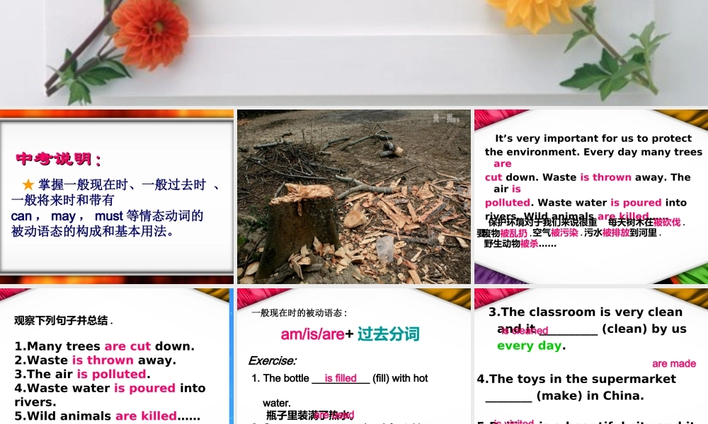 中考英语专题复习 被动语态 课件