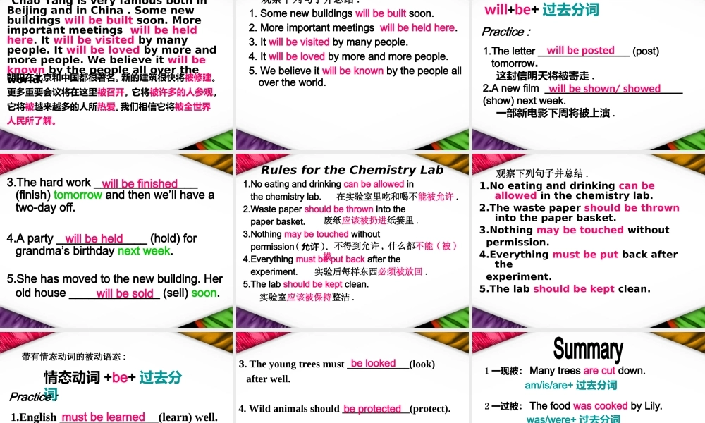 中考英语专题复习 被动语态 课件