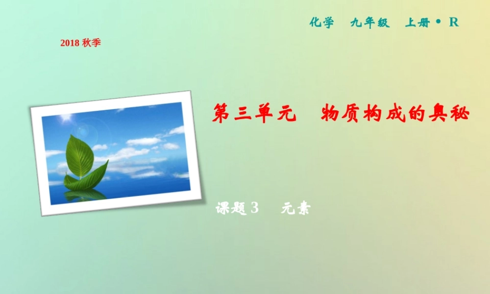 九年级化学上册 第3单元 物质构成的奥秘 课题3 元素作业课件 (新版)新人教版 课件
