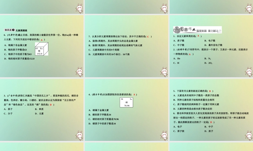 九年级化学上册 第3单元 物质构成的奥秘 课题3 元素作业课件 (新版)新人教版 课件