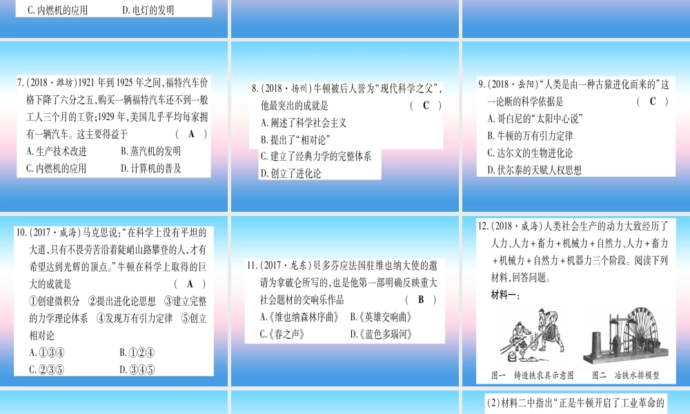(云南专用)中考历史总复习 第一篇 考点系统复习 板块4 世界古、近代史 主题五 第二次工业革命和近代科学文化(精练)课件