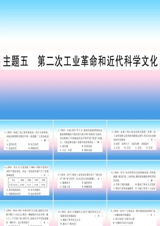 (云南专用)中考历史总复习 第一篇 考点系统复习 板块4 世界古、近代史 主题五 第二次工业革命和近代科学文化(精练)课件