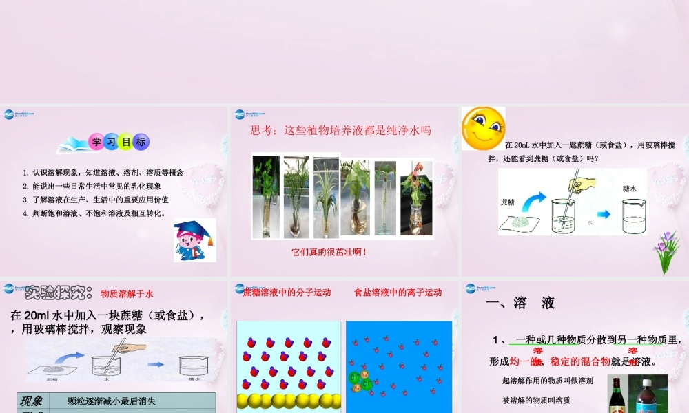 九年级化学全册 31 溶液的形成课件 (新版)鲁教版 课件