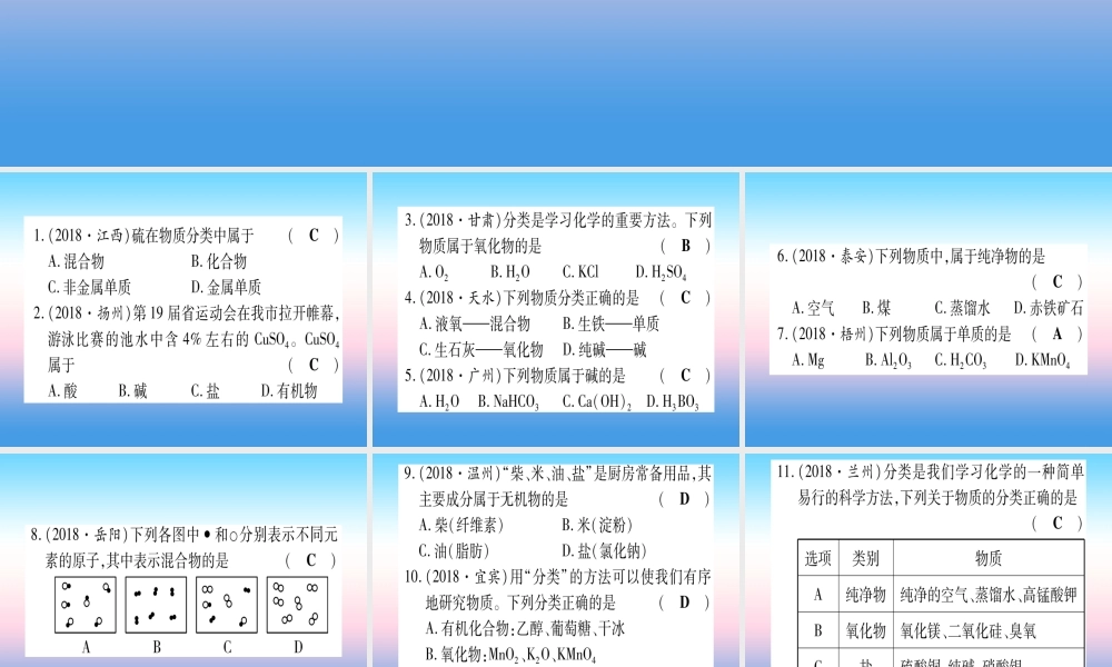 (甘肃专用)中考化学 专题突破五 物质的分类(提分精练)课件