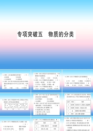 (甘肃专用)中考化学 专题突破五 物质的分类(提分精练)课件