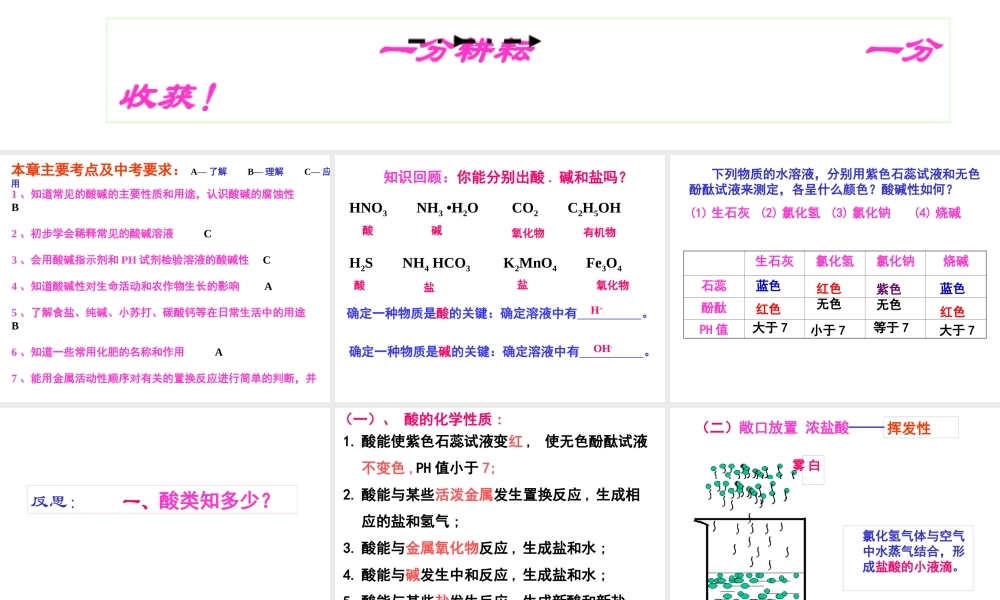 九年级化学 酸碱盐-沪教版 ppt 课件