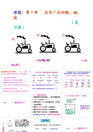 九年级化学 酸碱盐-沪教版 ppt 课件
