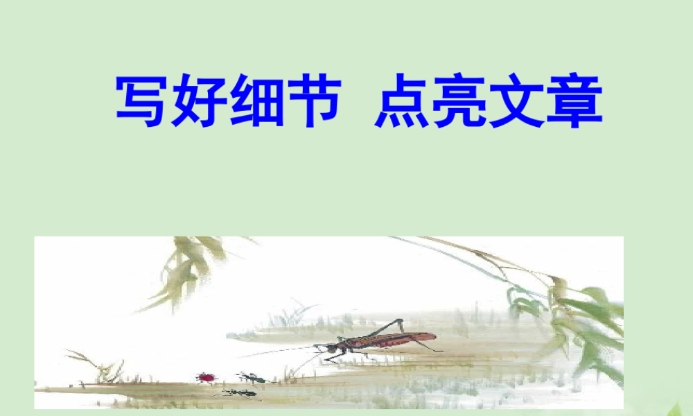 中考语文 作文指导写好细节点亮文章课件
