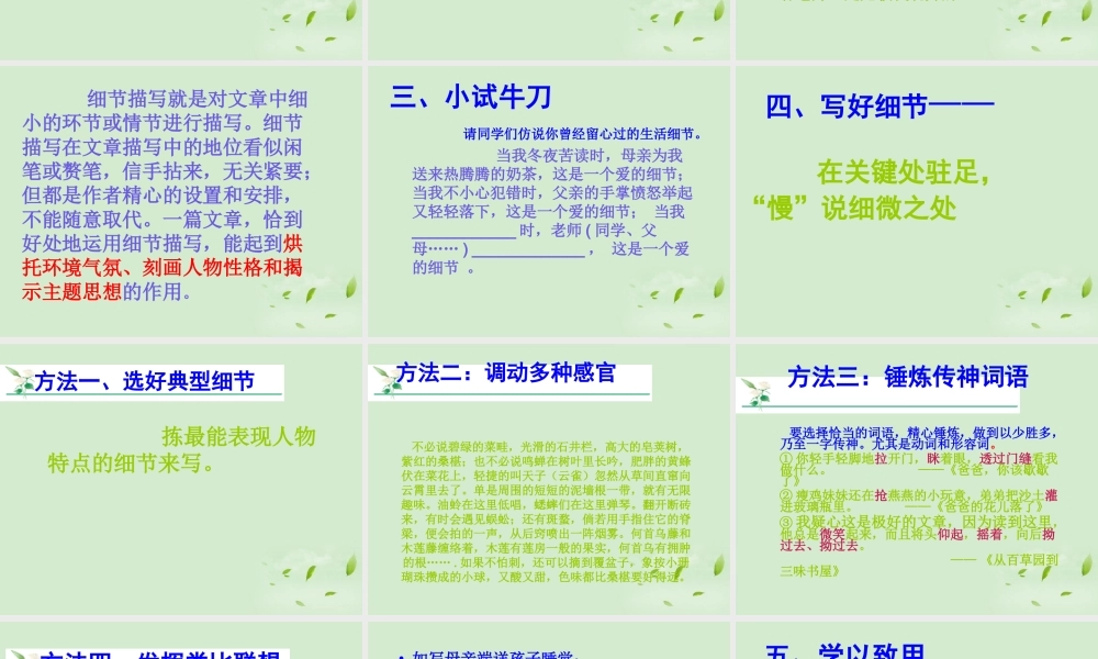 中考语文 作文指导写好细节点亮文章课件