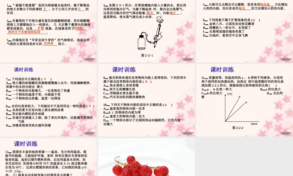 中考物理内能和内能的利用复习课件 苏教版 课件