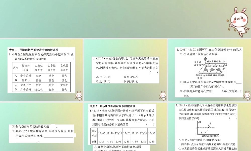 九年级化学下册 第十单元 酸和碱 实验活动7 溶液酸碱性的检验习题课件 (新版)新人教版 课件