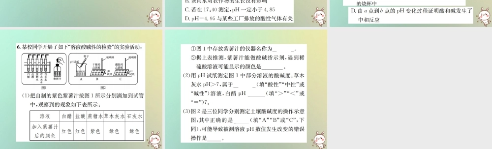 九年级化学下册 第十单元 酸和碱 实验活动7 溶液酸碱性的检验习题课件 (新版)新人教版 课件