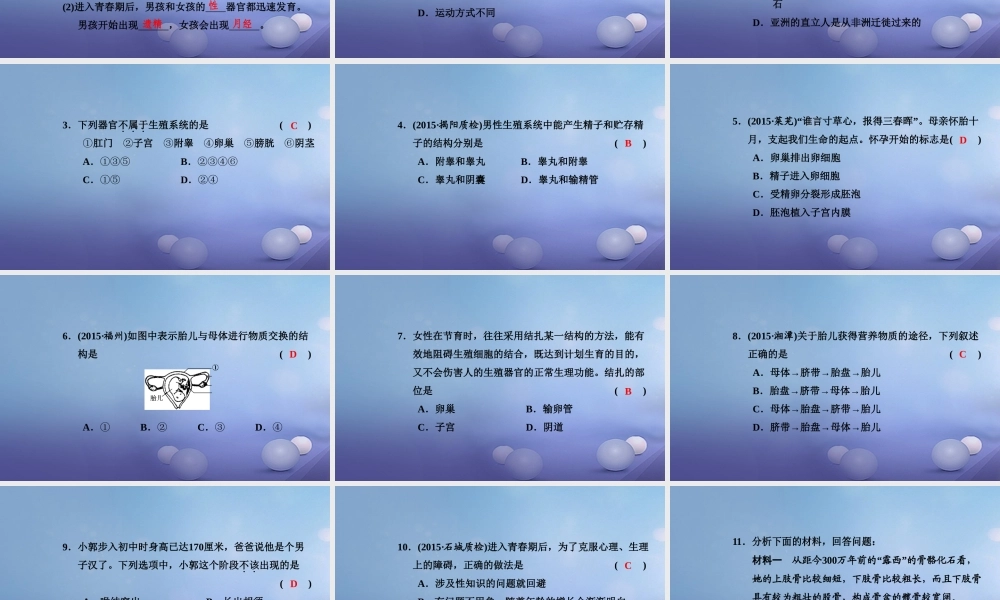 中考生物一轮复习 第四单元 第一章 人的由来课件 新人教版 课件