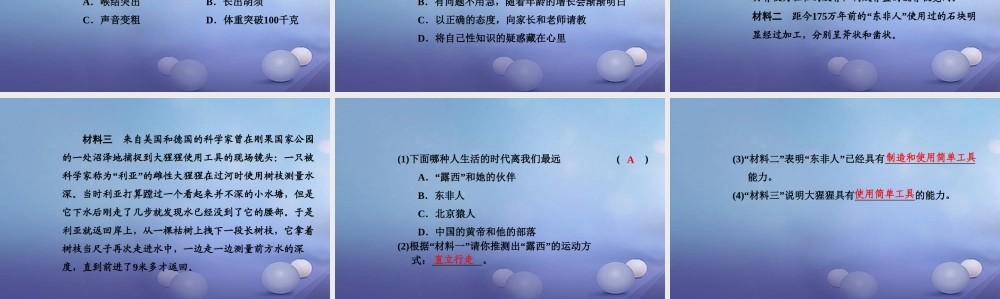 中考生物一轮复习 第四单元 第一章 人的由来课件 新人教版 课件
