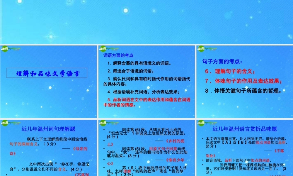 中考语文专题 文学类作品阅读复习(二) 课件