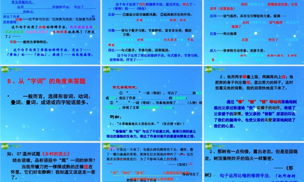 中考语文专题 文学类作品阅读复习(二) 课件