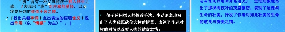 中考语文专题 文学类作品阅读复习(二) 课件