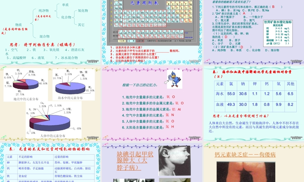 九年级化学组成物质的化学元素课件 上教版 课件