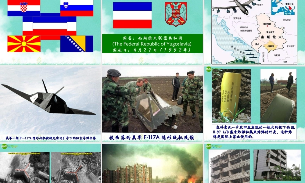 九年级历史下册 世界政治格局的多极化趋势课件 人教新课标版 课件