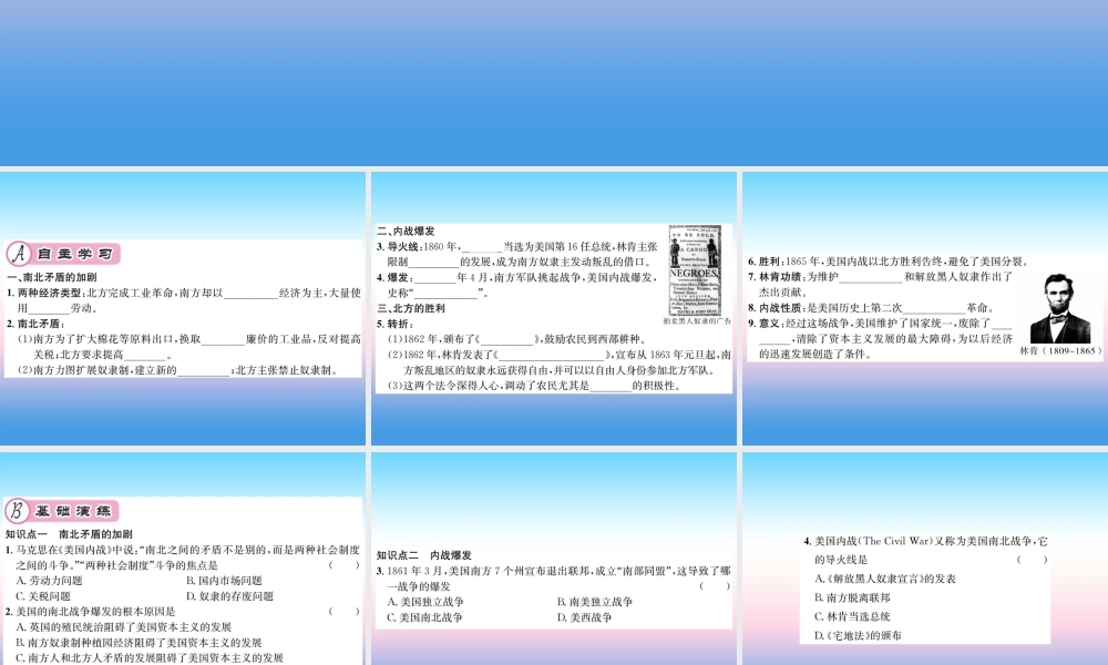 九年级历史下册 第1单元 殖民地人民的反抗与资本主义制度的扩展 第3课 美国内战作业课件 新人教版 课件