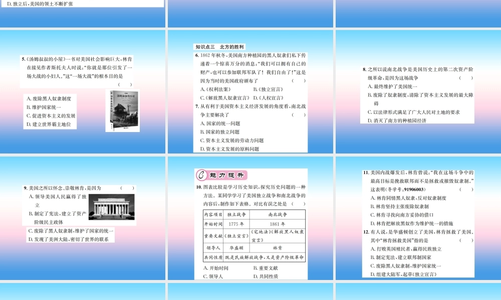 九年级历史下册 第1单元 殖民地人民的反抗与资本主义制度的扩展 第3课 美国内战作业课件 新人教版 课件