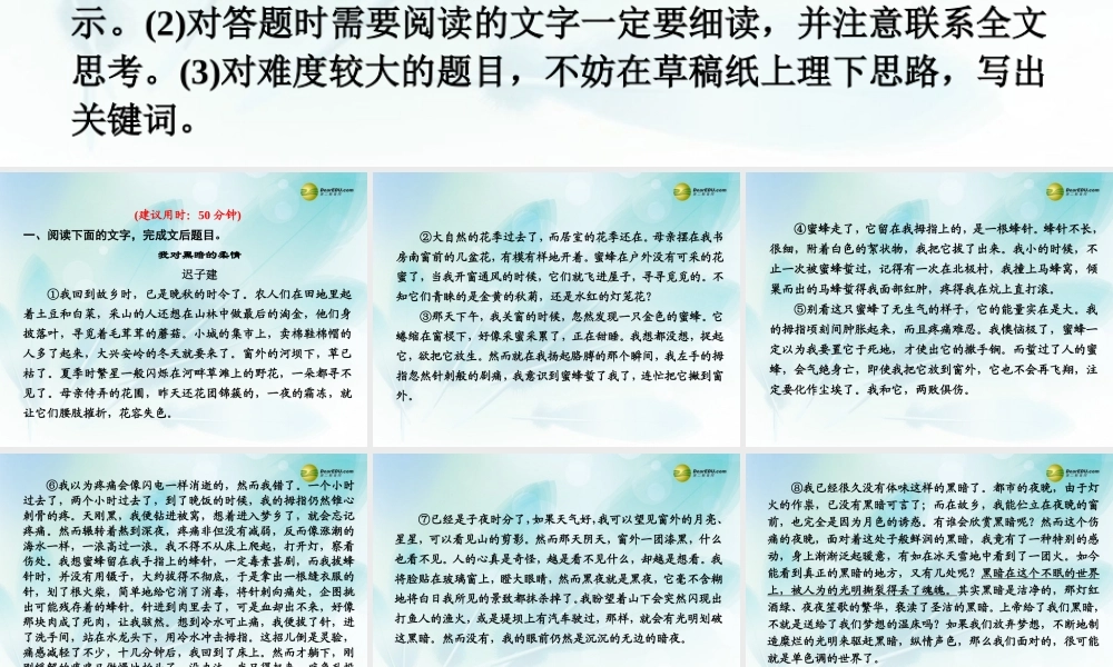 (浙江专用)高考语文二轮复习 考前三个月 第一部分  第四章  特色训练二 文学类文本限时规范训练配套课件