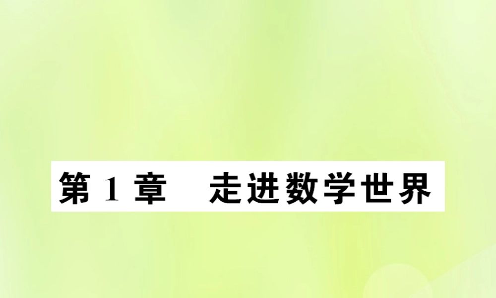 七年级数学上册 第1章 走进数学世界习题课件 (新版)华东师大版 课件