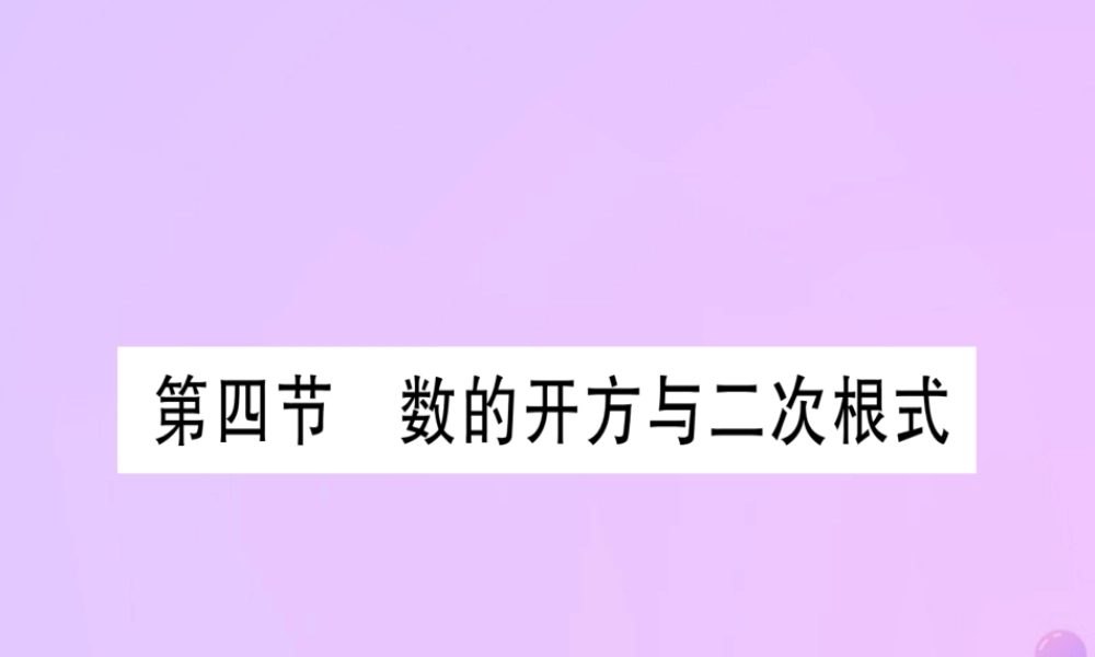(云南专用)中考数学 第一轮 考点系统复习 第1章 数与式 第4节 数的开方与二次根式作业课件