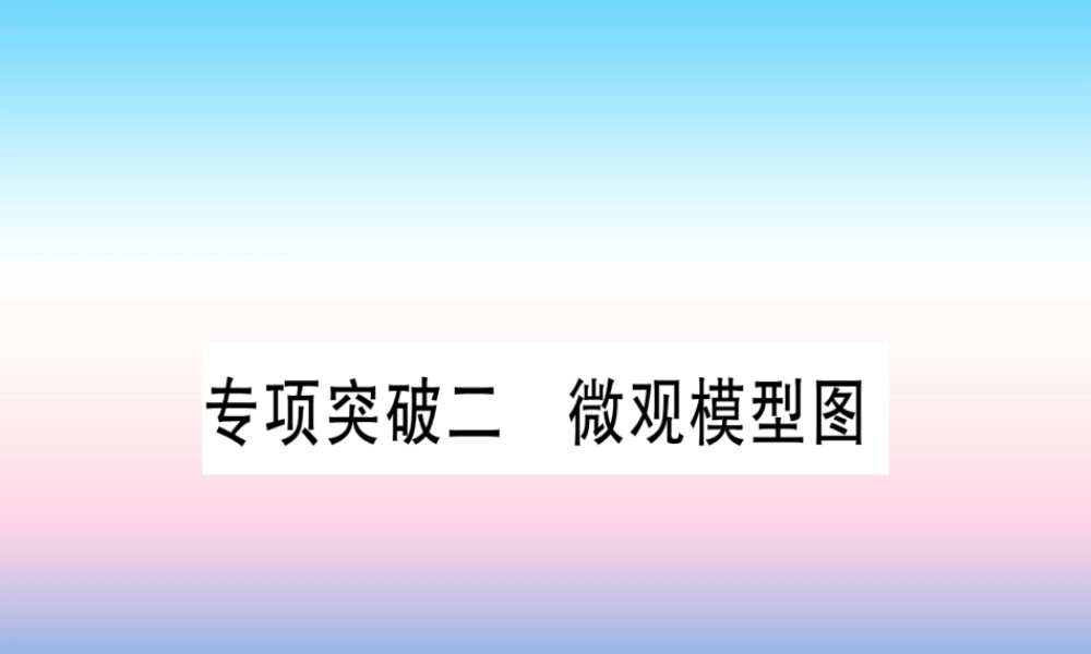 (云南专用)中考化学总复习 专项突破二 微观模型图课件