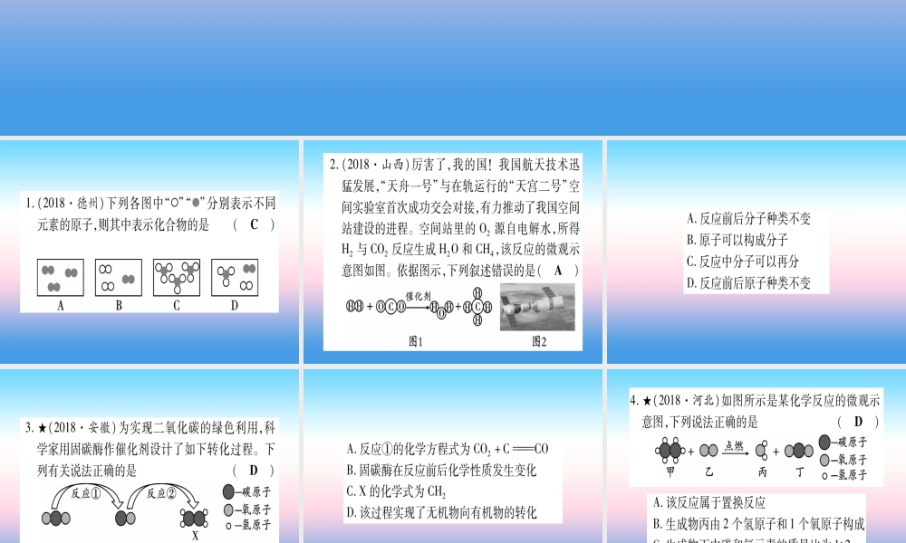 (云南专用)中考化学总复习 专项突破二 微观模型图课件