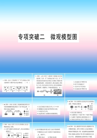 (云南专用)中考化学总复习 专项突破二 微观模型图课件