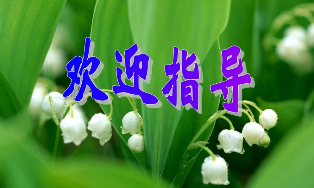 九年级化学元素课件一 新课标 人教版 课件