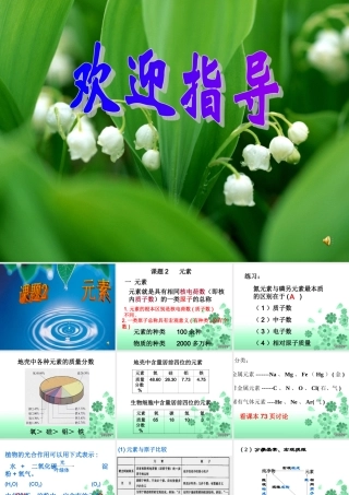九年级化学元素课件一 新课标 人教版 课件