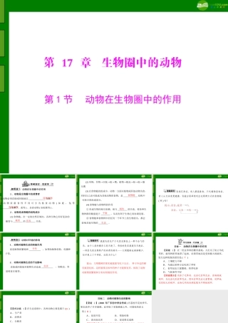 (随堂优化训练)八年级生物上册 第5单元 第17章 第1节 动物在生物圈中的作用课件 北师大版 课件