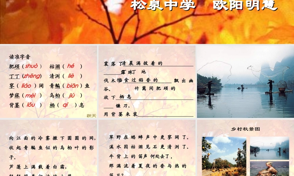 (秋天)课件1 七年级语文上册第三单元(秋天)课件8套人教版