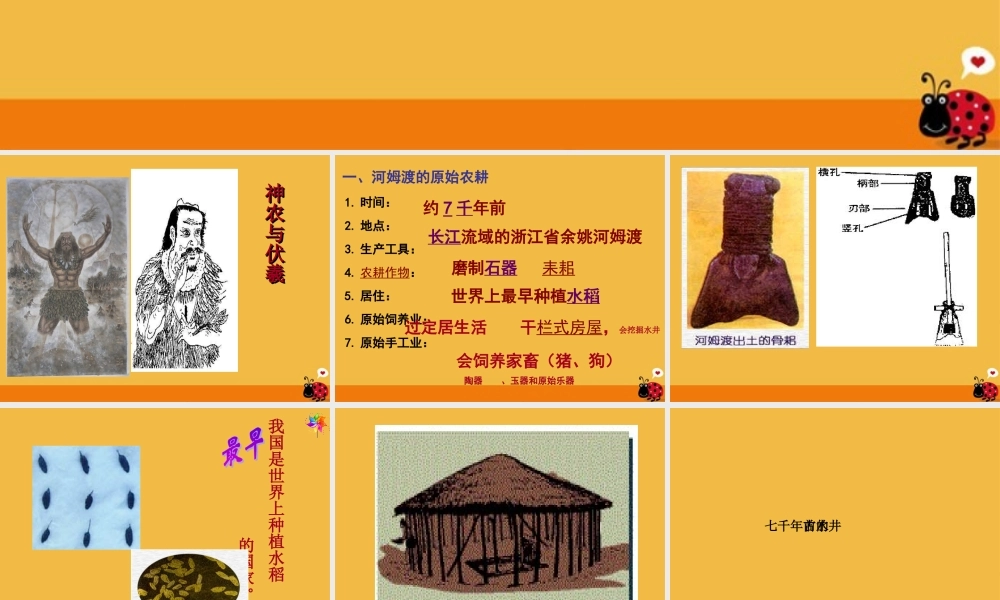 七年级历史上册 第一单元第二课原始的农耕生活课件 人教新课标版 课件