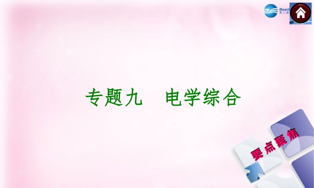 中考物理总复习 专题九 电学综合课件 沪科版 课件
