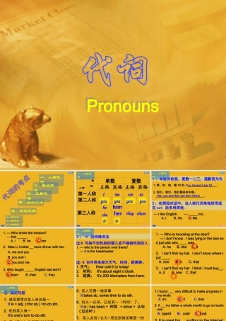 中考英语语法考点专题复习3 代词课件3 课件