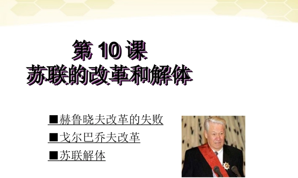 九年级历史下册 510(苏联的改革与解体)课件 人教新课标版 课件