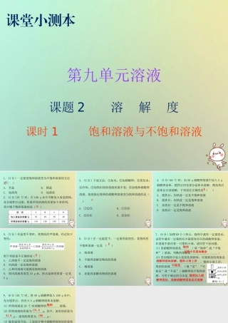 九年级化学下册 第九单元 溶液 课题2 溶解度 课时1 饱和溶液与不饱和溶液(小测本)课件 (新版)新人教版 课件