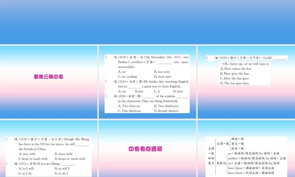 中考英语总复习 第二部分 语法专项突破篇 1基础语法(十三)主谓一致和倒装句习题课件