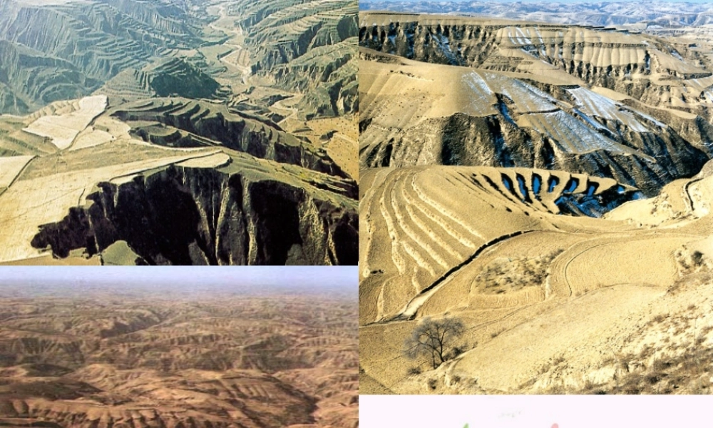 七年级历史与社会下册 第六单元 第1课 第2框(沟壑纵横的黄土高原)课件1 人教版 课件